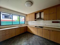 Peakville Walk (D16), Terrace #432395561